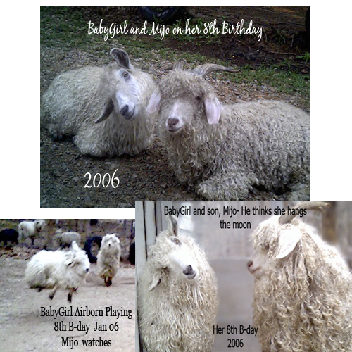 BabyGirl's 8th Birthday pics