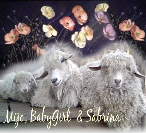 Babygirl, Sabrina and Mijo