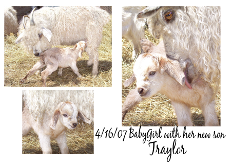 BabyGirl and her new son, Traylor