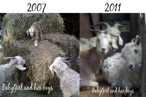 BabyGirl and her two sons