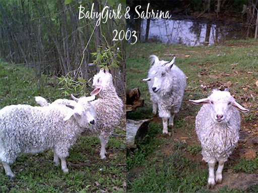 BabyGirl and her daughter Sabrina